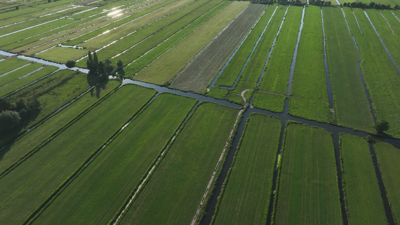 Agricultural Scenery in Krimpenerwaard, Netherlands