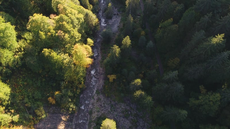 Scenic aerial view of the Alps mountain range.