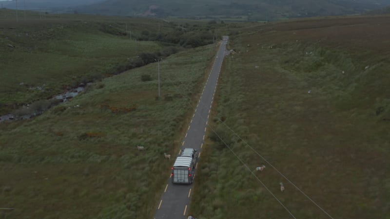 Vorwärtsverfolgung eines Autos mit Pferdeanhänger, das auf einer Landstraße fährt. Schafherde weidet entlang der Straße. Irland