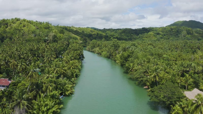 Aerial fly over a palm tree lined jungle river in the Philippines