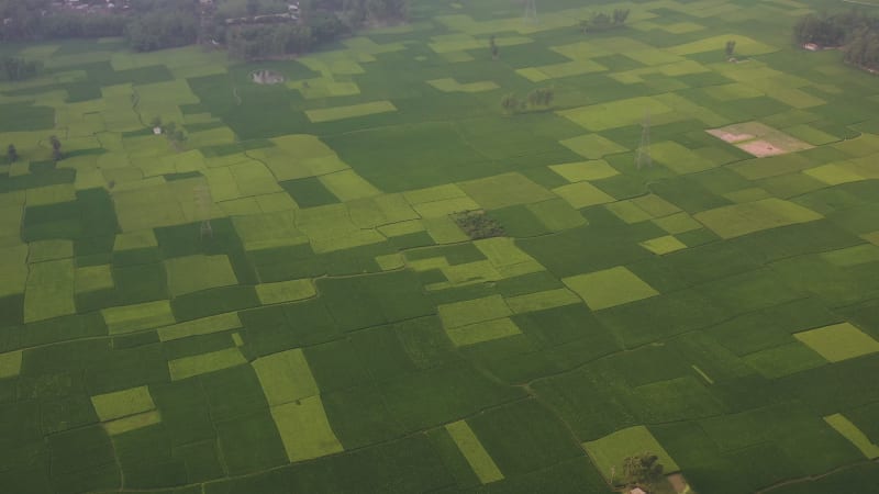 Aerial View of Cultivated field, Shibchar, Dhaka, Bangladesh.