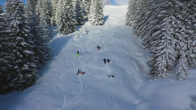 Aerial von Menschen beim Skifahren zwischen den Pinien in der Schweiz.