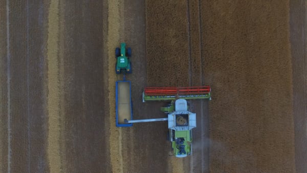 Combine Harvester and Grain Truck