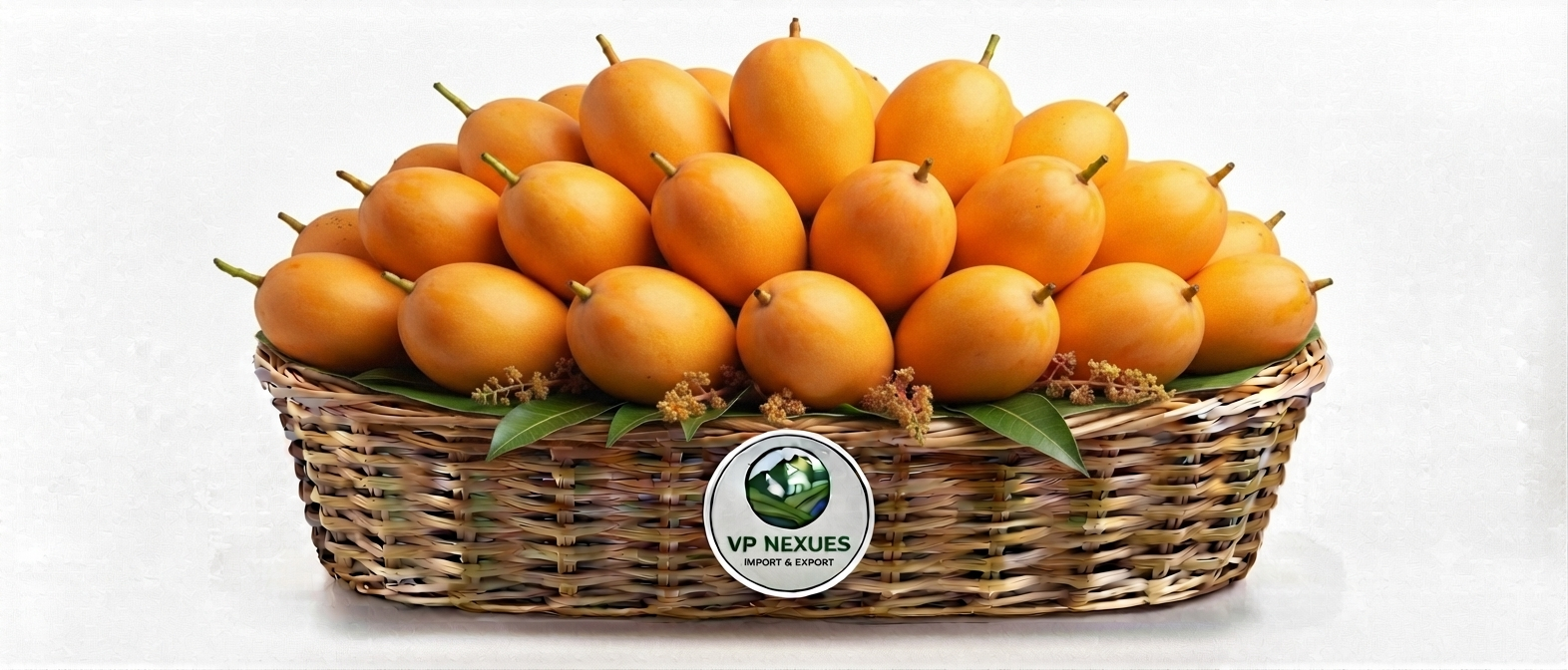 Alphonso Mango