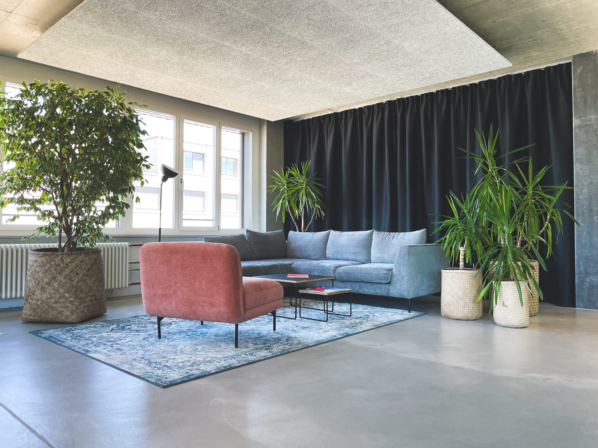 Cosy sitting area with couch, including green plants and carpet.
