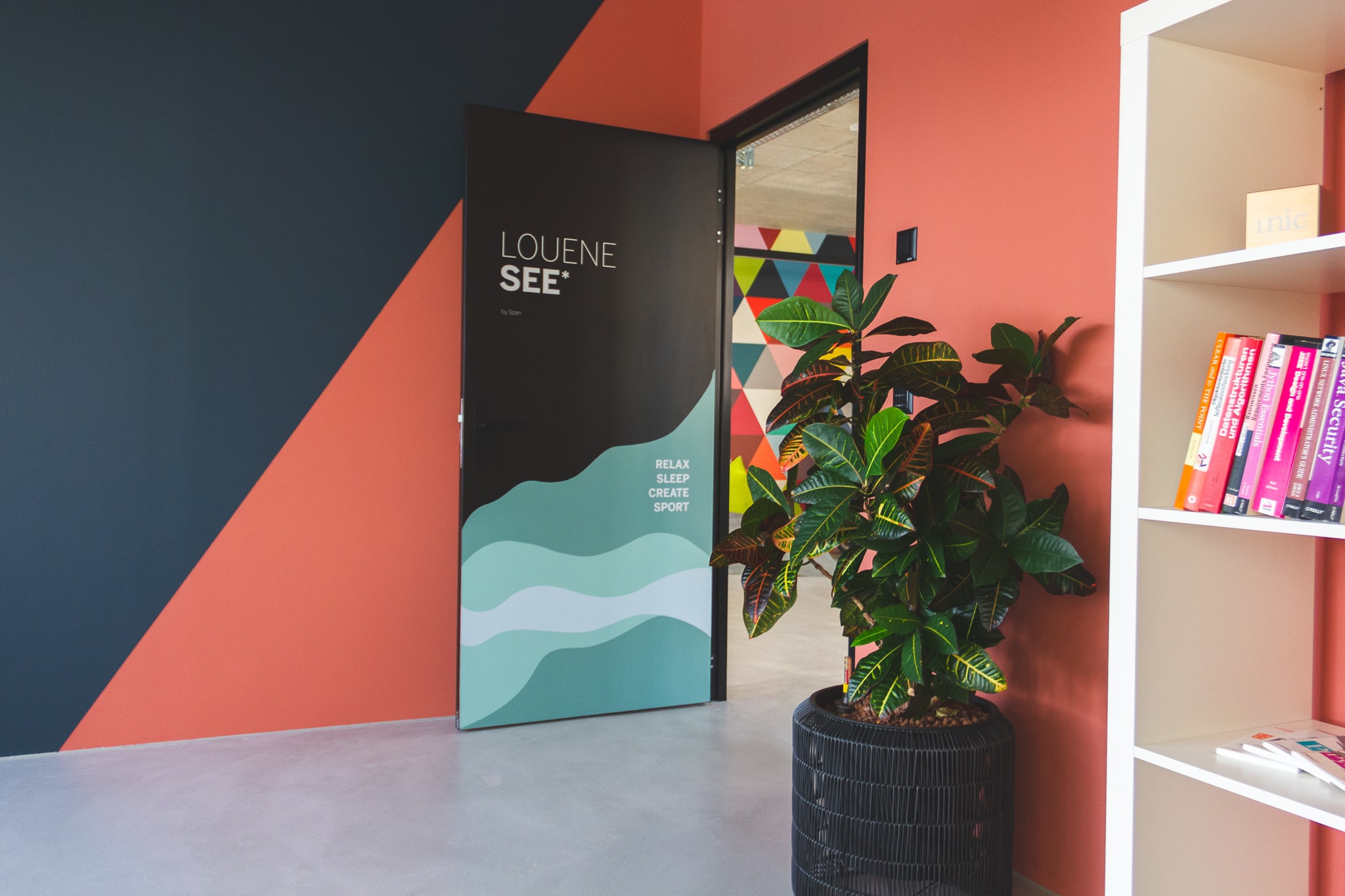 Relaxation room with a view of the exit. A bookshelf and a green, metre-high plant can be seen on the right-hand side of the picture.