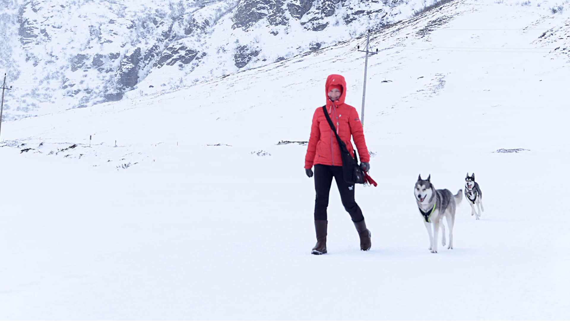 Annegret Angele, Application Engineer, unterwegs mit ihren Huskys.