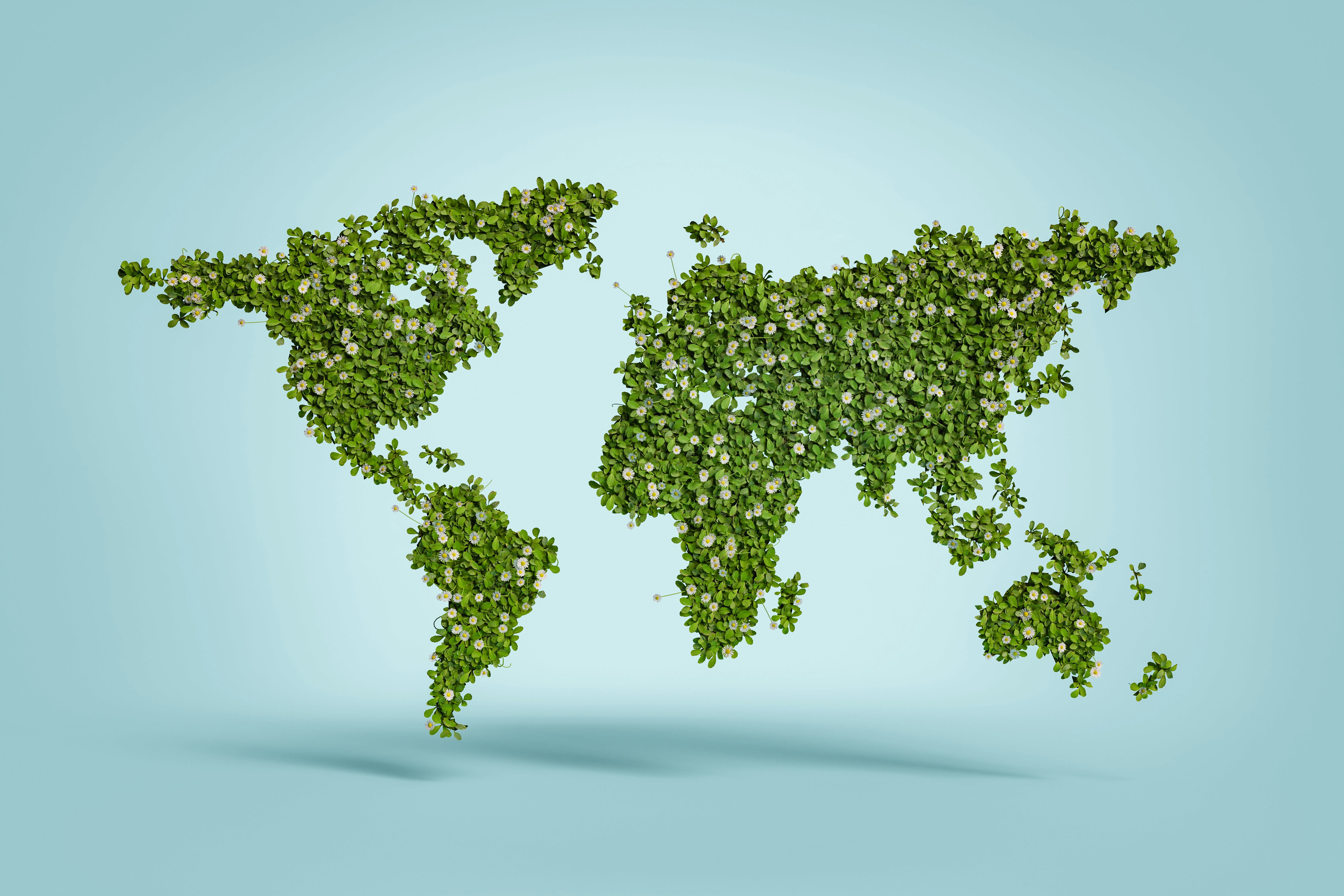 Sustainable digital services: 15 measures for a smaller CO₂ footprint