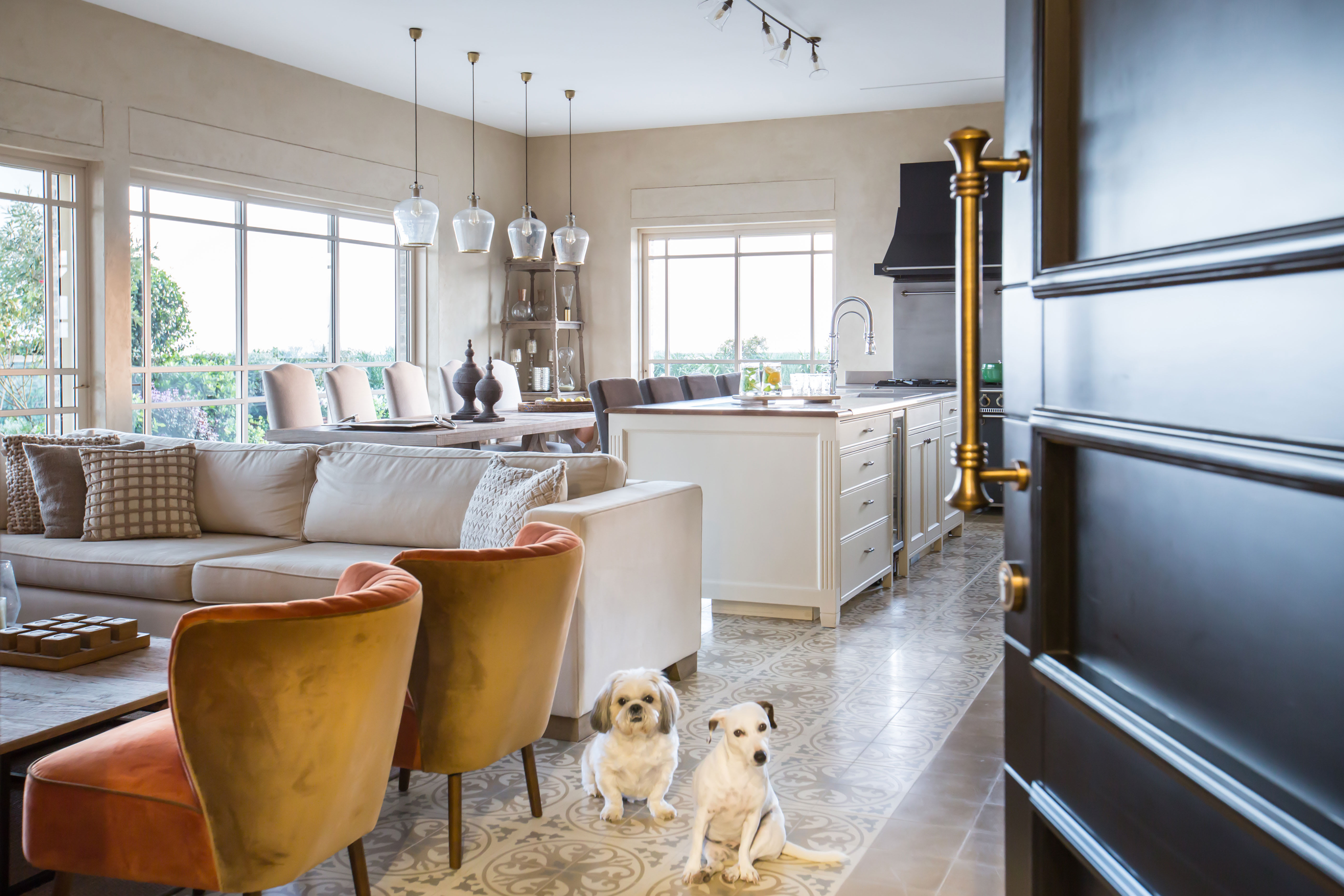 פרוייקט אדריכלי פנטהאוז במרכז