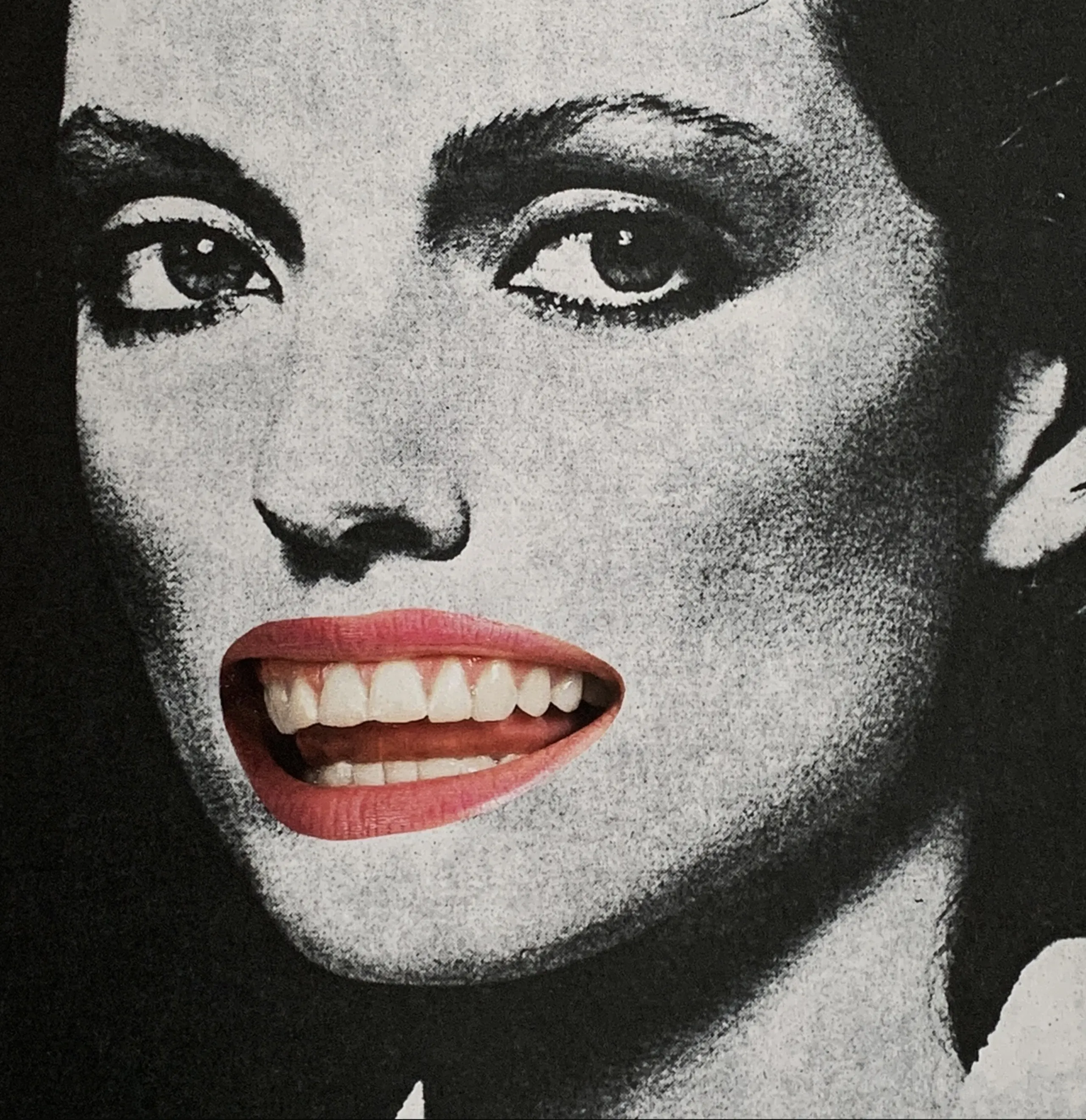 Artist Monograph, 'Linder: Works 1976-2006' - Unit