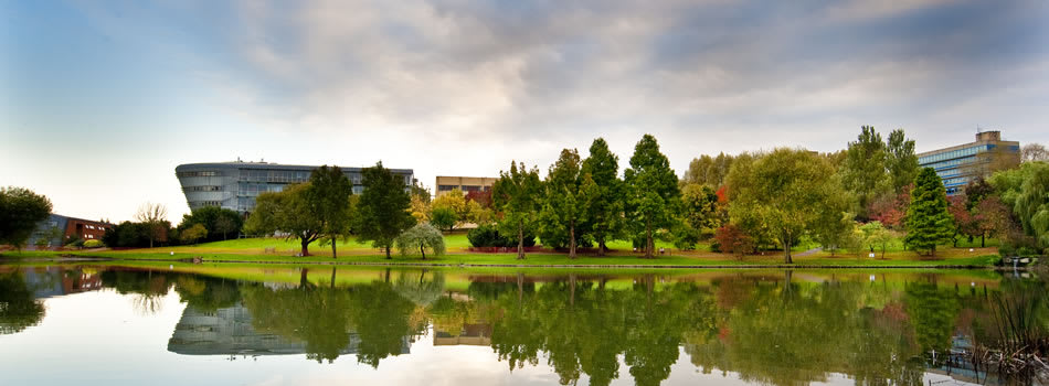 University of Surrey logo