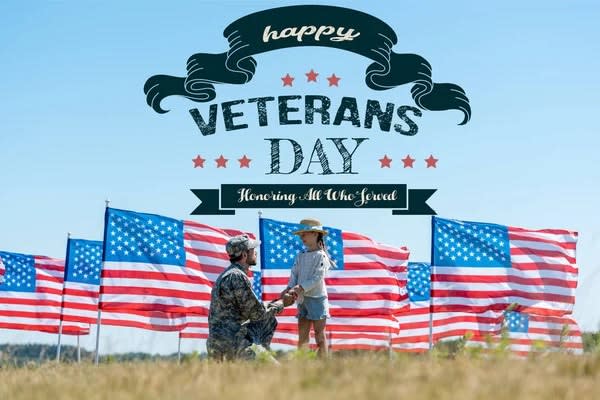 Veterans Day (2023) cover image