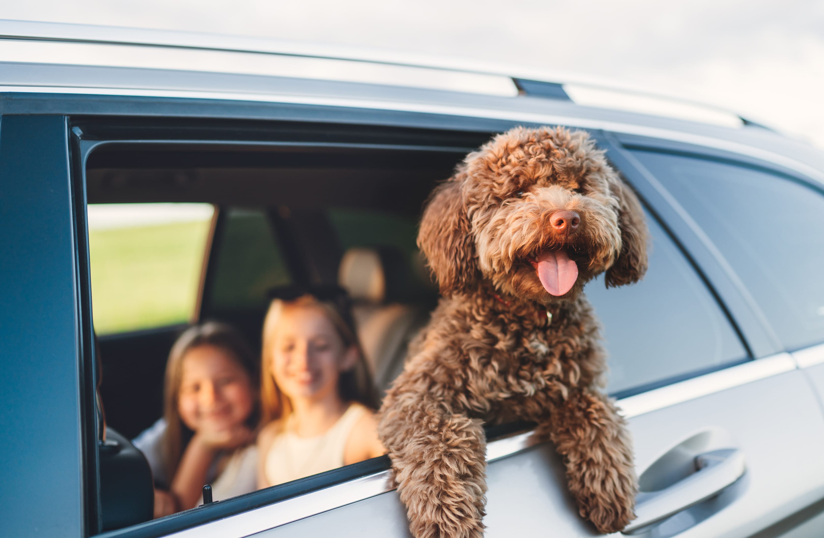 Kids in car with family dog.