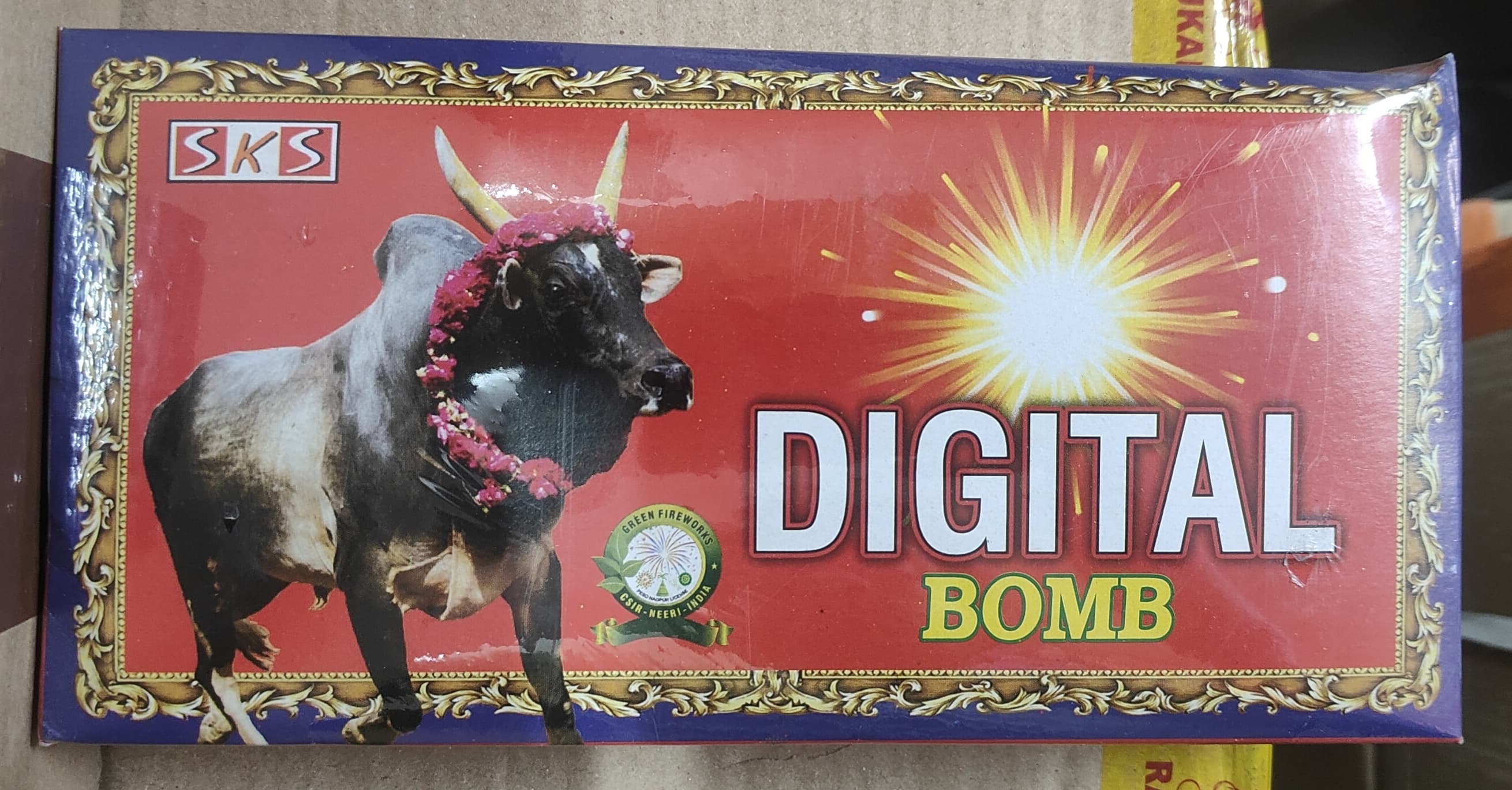 DIGITAL BOMBS