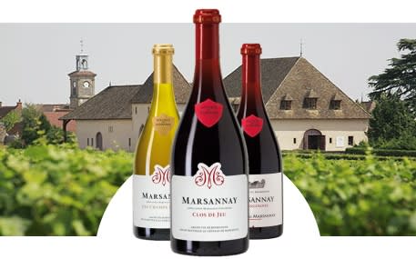 Marsannay 2015 Château de Marsannay 2015 Domaine du Château de Marsannay Marsannay - CellarTracker