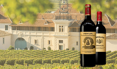 Château Angélus • Verticale d'exception