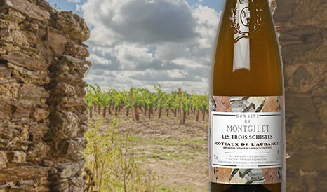 Montgilet • Coteaux de l'Aubance