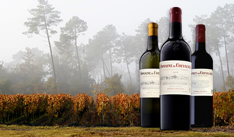 Domaine de Chevalier