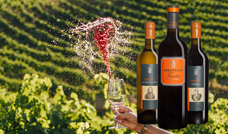 Domaine Comte Abbatucci • Icône Corse