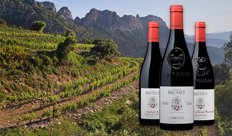 Domaine Brusset