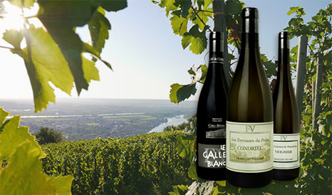 Domaine François Villard