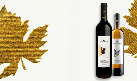 Domaine Barreau • Gaillac