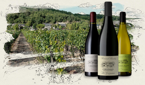 Bernard Baudry • Chinon
