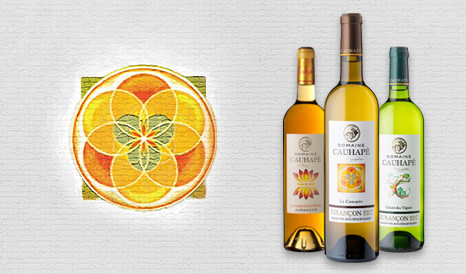 Tenuta Cauhapé • Jurançon