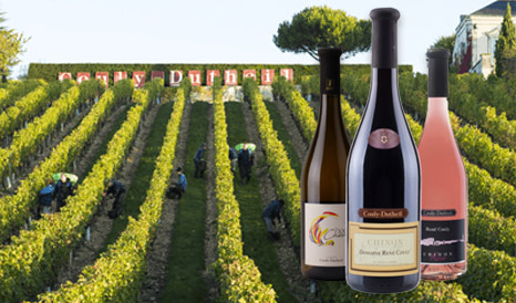 Couly-Dutheil  • Chinon