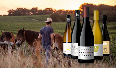 Thierry Germain • Saumur et Saumur Champigny