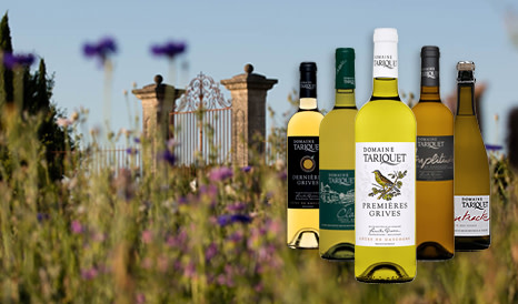 Domaine Tariquet