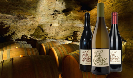 Les Vignes Oubliées • Terrasses du Larzac