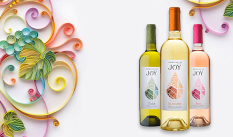 Domaine de Joÿ • Nouveauté Côtes de Gascogne