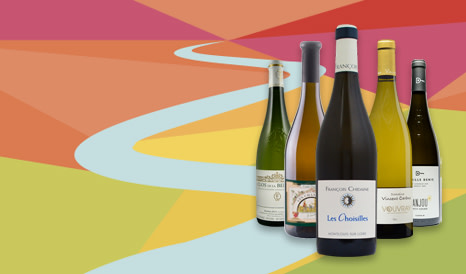Voyage au cœur du Chenin