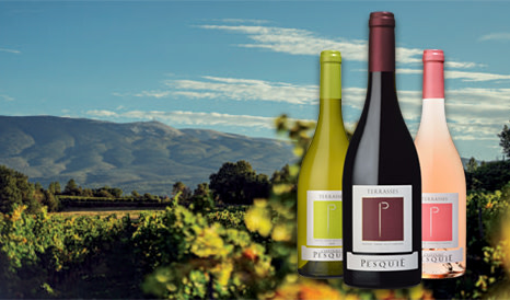 Château Pesquié • Ventoux