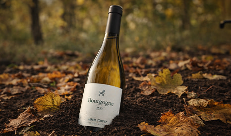 Arnaud Combier • Bourgogne Prix/Plaisir