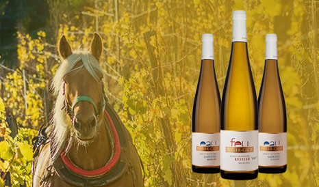 Dirler-Cadé • Alsace Grand Cru