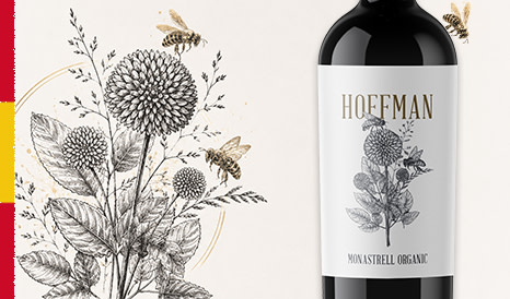 Hoffman • Espagne Bio 95 Decanter !