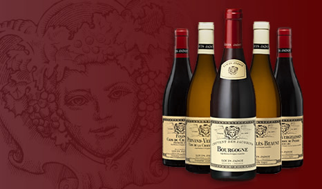 Louis Jadot • Grand nom bourguignon
