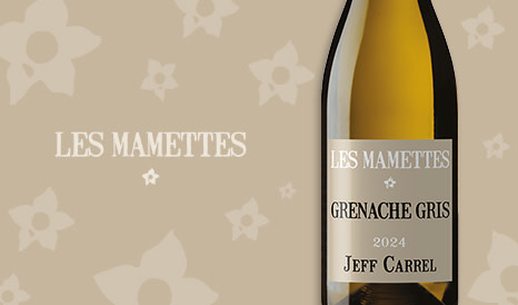 Jeff Carrel Les Mamettes • 3* Hachette