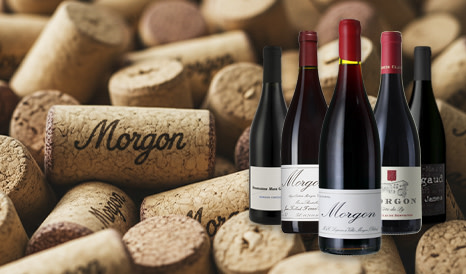 Je suis Morgon de toi !