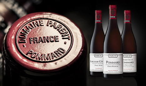 Domaine Parent • Pommard