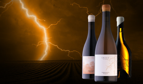 Torredemer-Mangin • Vin Orange