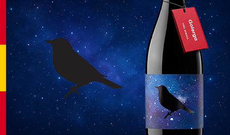 Pépite espagnole 95/100 Parker !