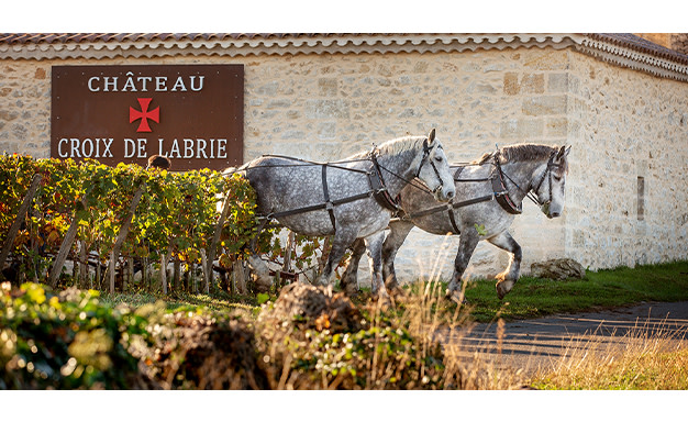 Castello Croix de Labrie