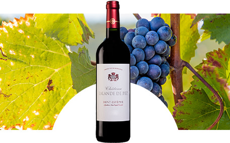 Château Lalande de Pez