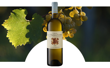 Castillo Les Charmes-Godard