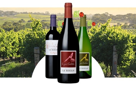 Domaine Mouthes Le Bihan