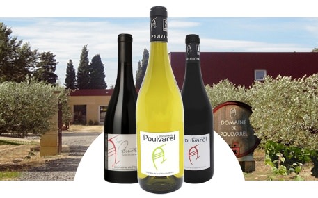 Domaine de Poulvarel