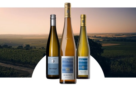 Weingut Wittmann